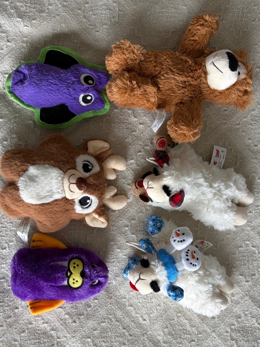Bundle of 6! Plush Squeaky Dog Toys - Animal Themed